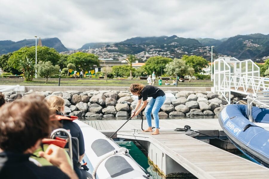 From Funchal: Whales and Dolphin Adventure Tour - Key things to know before you book