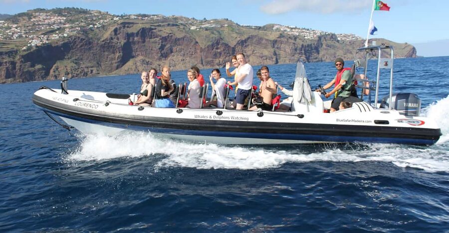 From Funchal: Whales and Dolphin Adventure Tour - Leaving Funchal Marina on a compact RIB