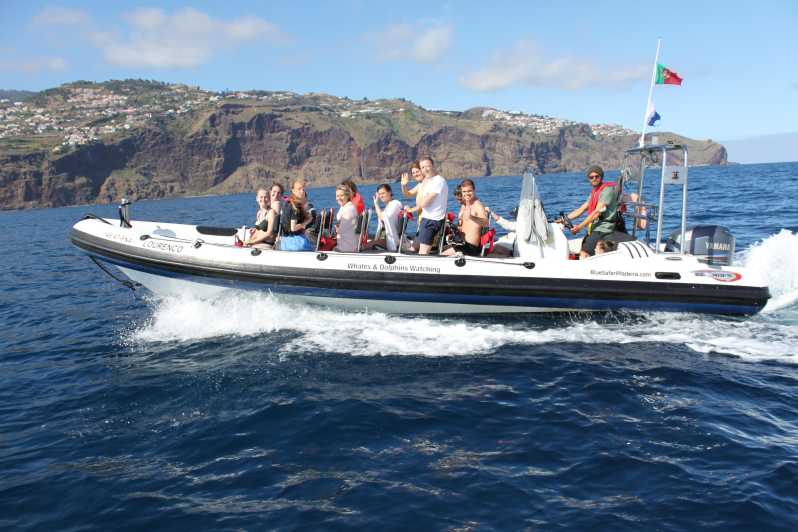 From Funchal: Whales and Dolphin Adventure Tour - Two hours of searching the Atlantic