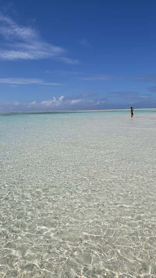 From Kendwa: Mnemba Boat Trip and Dolphin Snorkel Adventure - An early start from Mama Mia