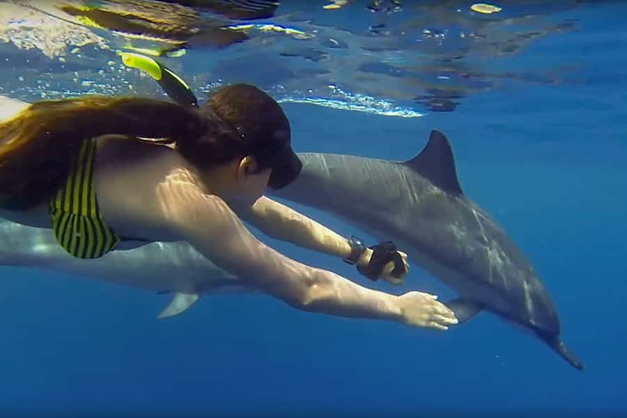 From Kendwa: Mnemba Boat Trip and Dolphin Snorkel Adventure - Snorkeling around Mnemba Atoll