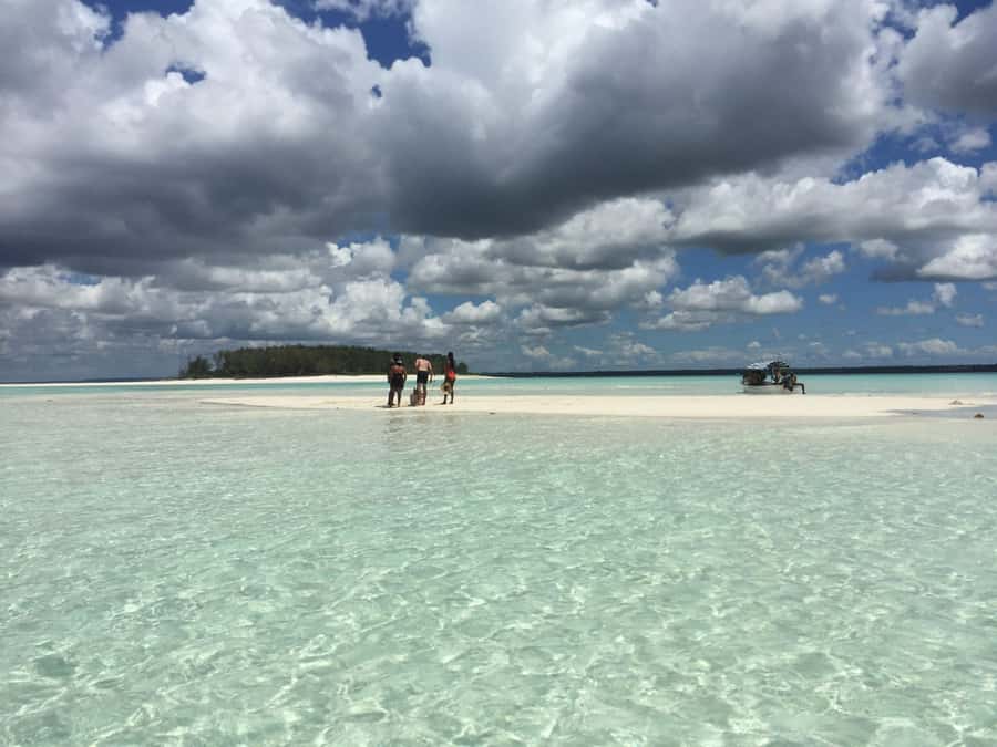 From Kendwa: Mnemba Boat Trip and Dolphin Snorkel Adventure - A four-hour schedule that packs in plenty