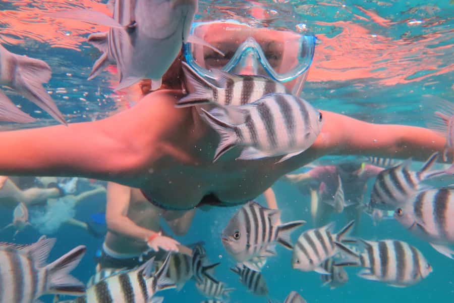 From Kendwa: Mnemba Boat Trip and Dolphin Snorkel Adventure - Weather, tides, and animal welfare