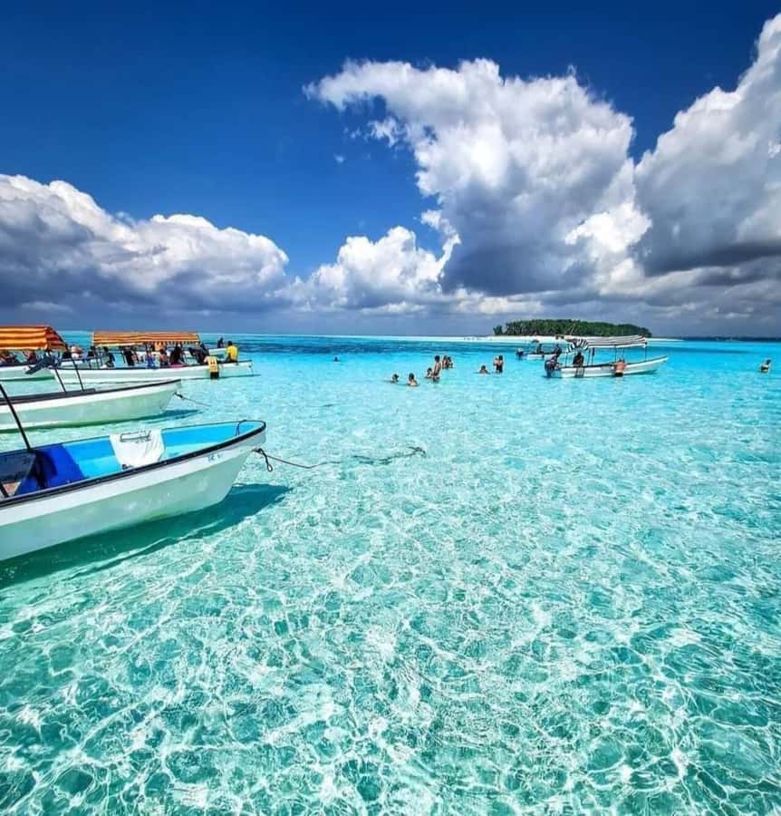 FROM KENDWA; Mnemba snorkelling and Dolphin tour - Snorkelling over coral and fish