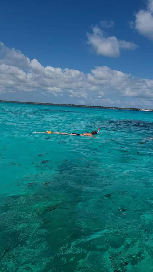 FROM KENDWA; Mnemba snorkelling and Dolphin tour - Who will enjoy this Kendwa excursion?