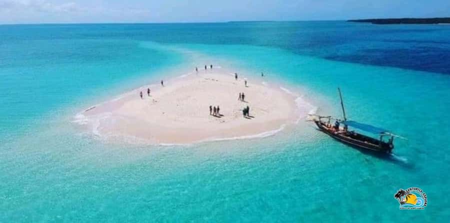 From Kendwa/Nungwi: Mnemba Dolphins with Snorkel Tour - Practical preparation for your departure