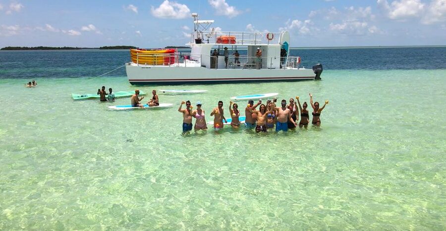 From Key West: Dolphin Watching Tour with Lunch & Drinks - Key points to know before booking