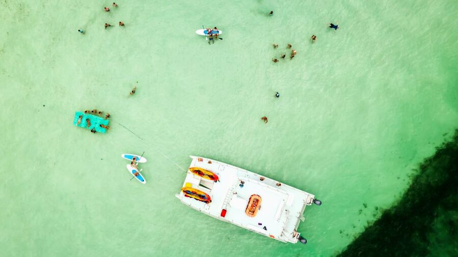 From Key West: Dolphin Watching Tour with Lunch & Drinks - What to bring and how to prepare