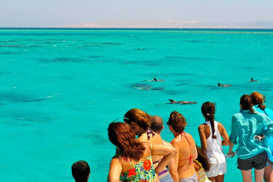 From Key West: Dolphin Watching Tour with Lunch & Drinks - Dolphin watching in the Florida Marine Sanctuary