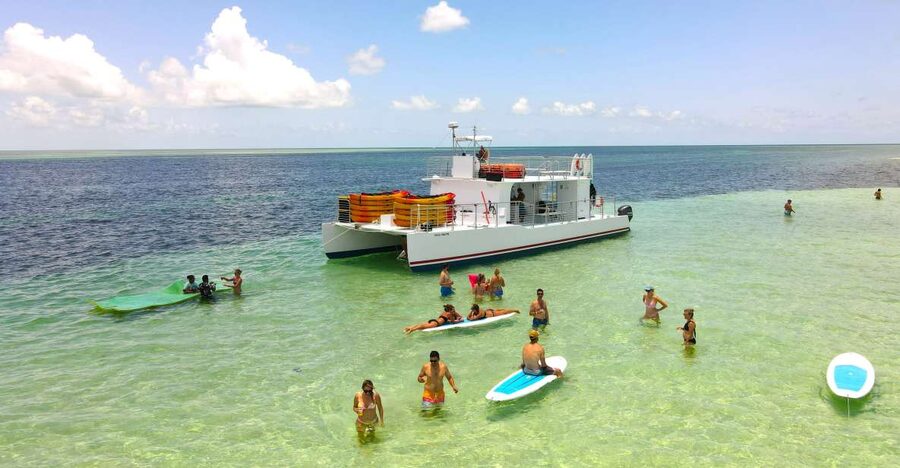 From Key West: Dolphin Watching Tour with Lunch & Drinks - The sandbar stop is the relaxed centerpiece