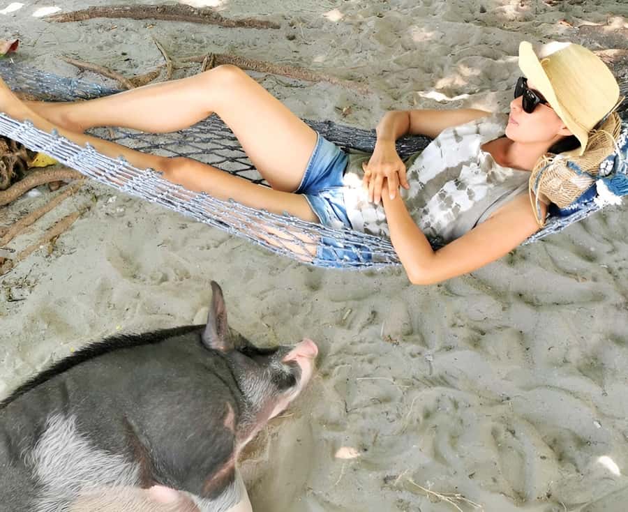 From Koh Samui: Pink Dolphin Boat Tour to Khanom with Lunch - What the day feels like in practice