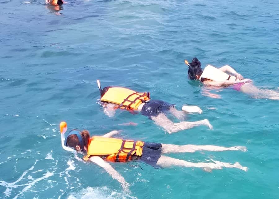From Koh Samui: Pink Dolphin Boat Tour to Khanom with Lunch - From your hotel to Thong Krut at 7:45 a.m.