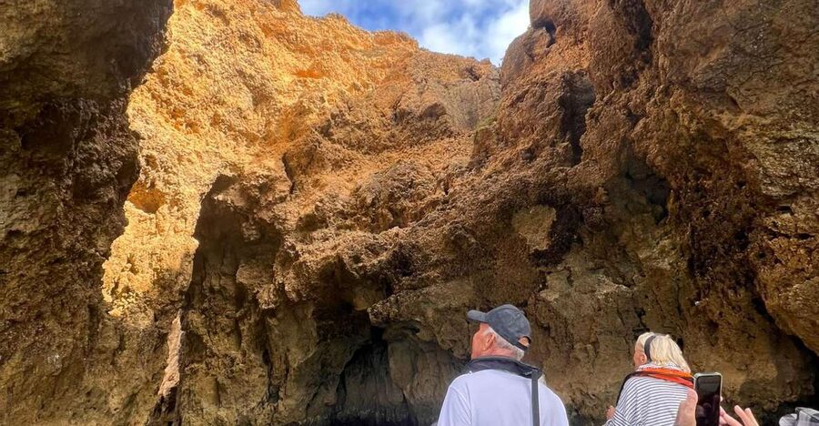 From Lagoa: Dolphins & Ponta da Piedade with biologist guide - A biologist guide adds meaning to the sightings