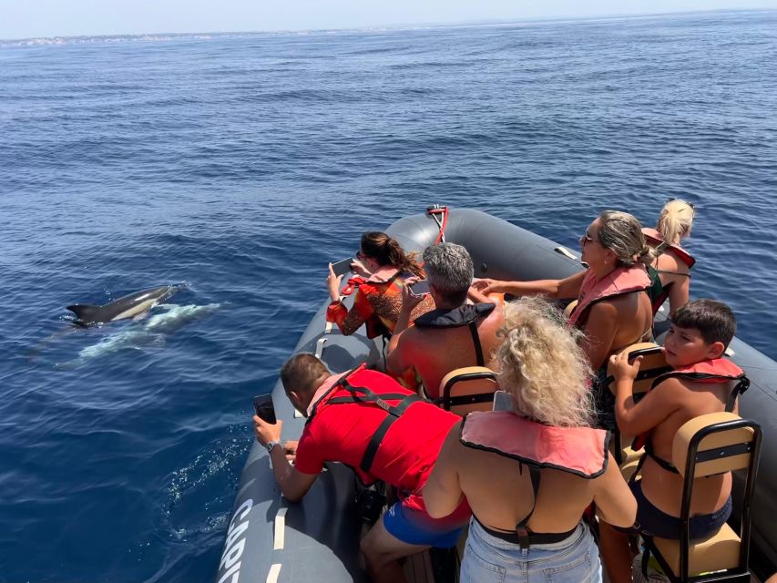 From Lagoa: Dolphins & Ponta da Piedade with biologist guide - Is $67 a fair price?