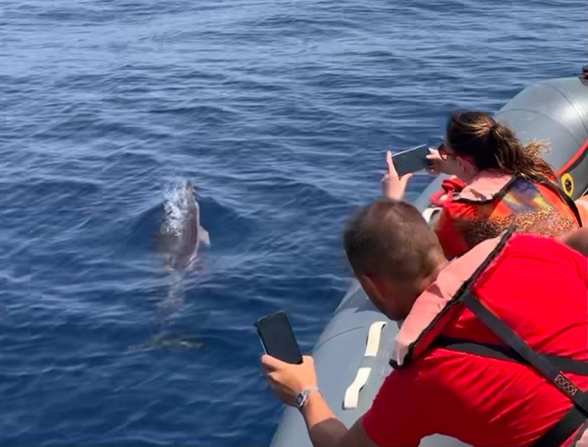 From Lagoa: Dolphins & Ponta da Piedade with biologist guide - Parchal departure and the small rescue boat