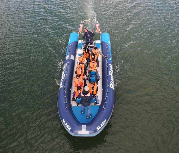 From Lagos: Dolphin Watching Boat Trip w/Marine Biologists - Who will enjoy this most?