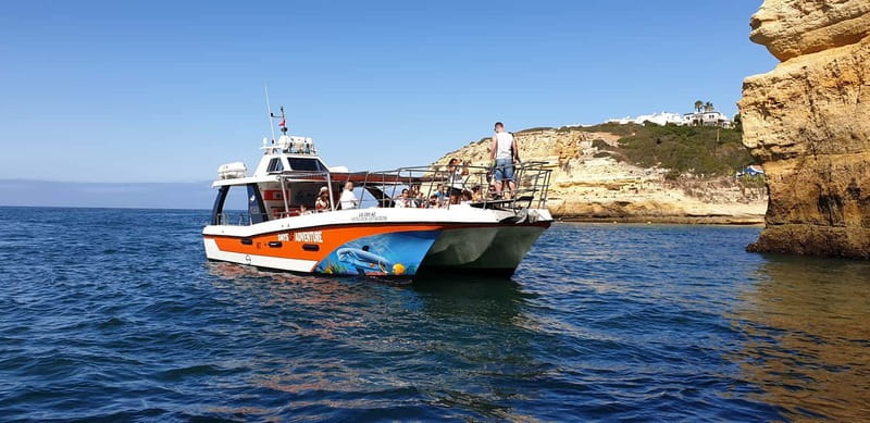 From Lagos: Dolphin Watching Catamaran Cruise - Quick points before you book