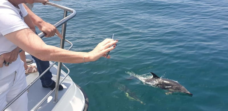 From Lagos: Dolphin Watching Catamaran Cruise - Comfort, views, and the best place to sit