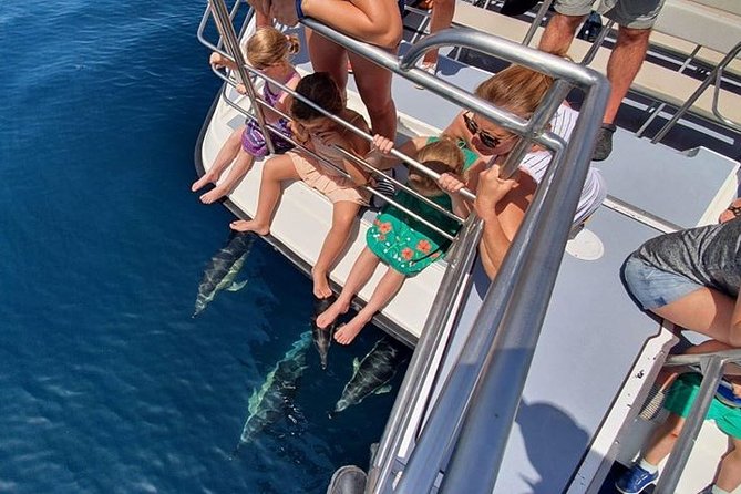 From Lagos: Dolphin Watching Cruise on a Catamaran - Finding dolphins in their natural habitat