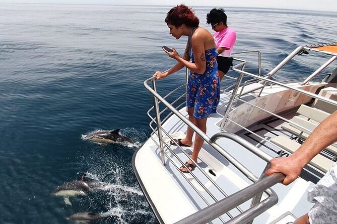 From Lagos: Dolphin Watching Cruise on a Catamaran - How the crew affects the experience