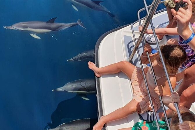 From Lagos: Dolphin Watching Cruise on a Catamaran - Comfort, access, and family suitability