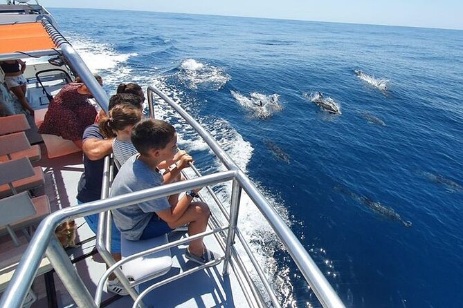 From Lagos: Dolphin Watching Cruise on a Catamaran - Is $48.39 good value for 90 minutes?