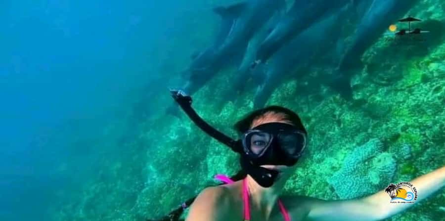 From Nungwi/Kendwa: Mnemba Atoll Starfishes & Dolphins Tour - Seafood lunch at a local restaurant