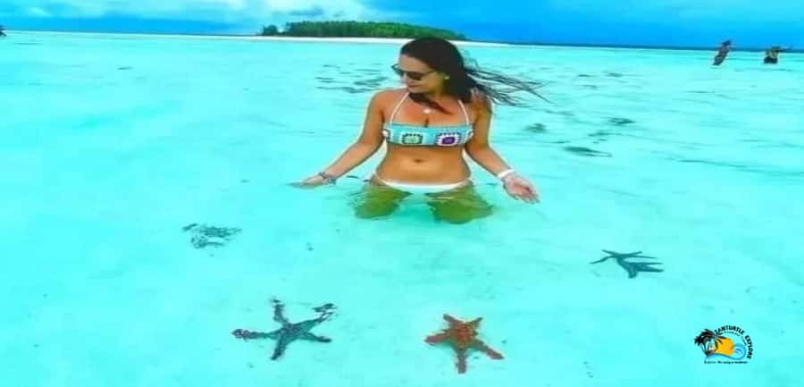 From Nungwi: Mnemba Island Dolphin Watching and Snorkeling - The beach stop, Mnemba or Muyuni
