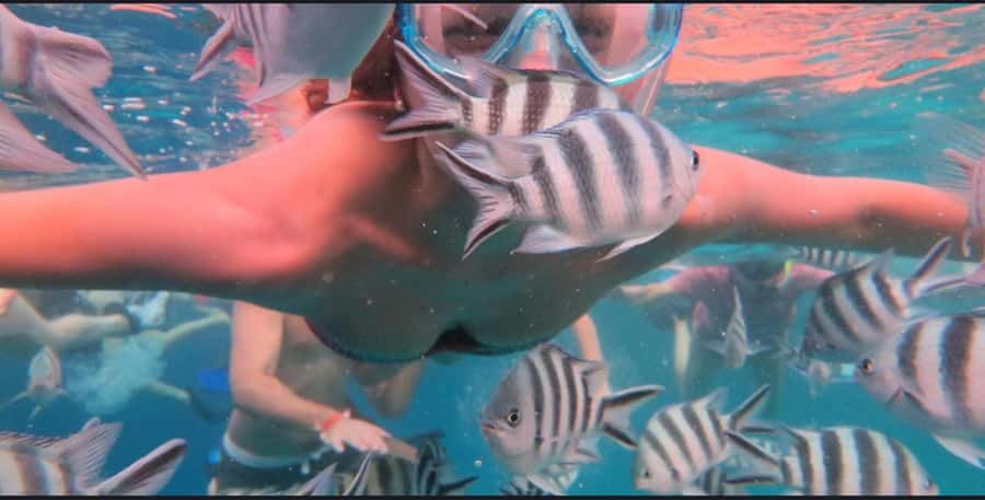 FROM NUNGWI; MNEMBA SNORKELING AND DOLPHIN TOUR - From Nungwi Beach to Mnemba’s clear water