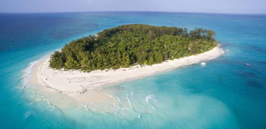 FROM NUNGWI; MNEMBA SNORKELING AND DOLPHIN TOUR - What the $45 price really covers