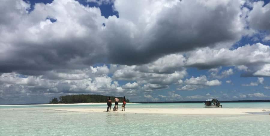 FROM NUNGWI; MNEMBA SNORKELING AND DOLPHIN TOUR - Who will enjoy this Mnemba trip most