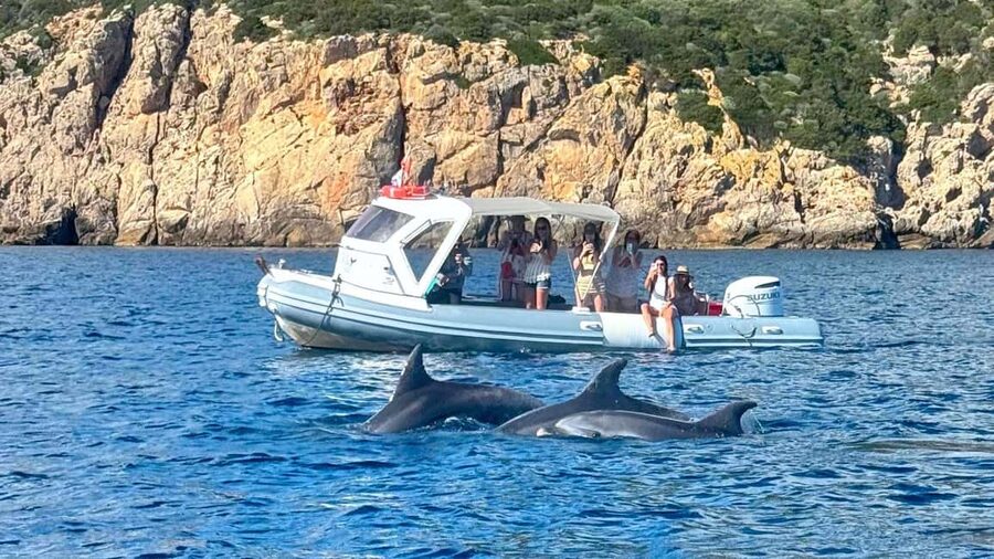 From Olbia: RIB Tour to Capo Figari with Dolphin Sighting - Figarolo Island and the chance to see dolphins