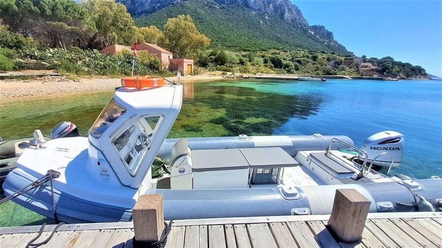 From Olbia: RIB Tour to Capo Figari with Dolphin Sighting - Snorkeling beside Capo Figari