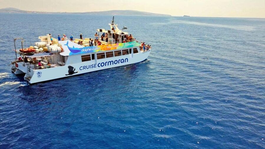 From Paguera: Dolphin Watching Cruise in a Glass-Bottom Boat - Why this dolphin cruise works so well