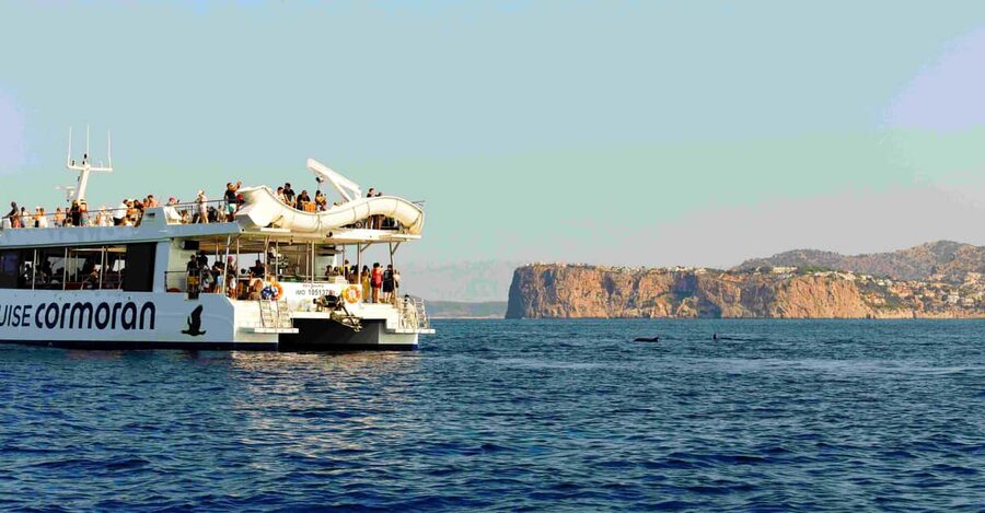 From Paguera: Dolphin Watching Cruise in a Glass-Bottom Boat - Food, drinks, and the onboard atmosphere