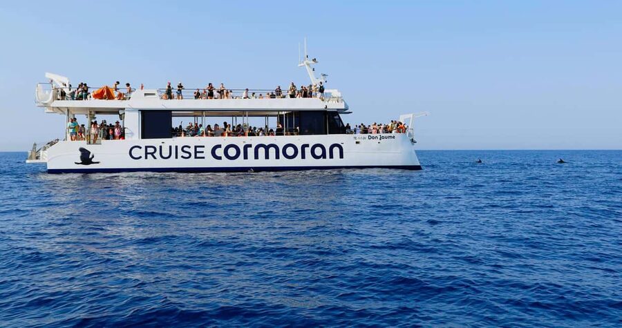 From Paguera: Dolphin Watching Cruise in a Glass-Bottom Boat - What can make the trip feel less polished