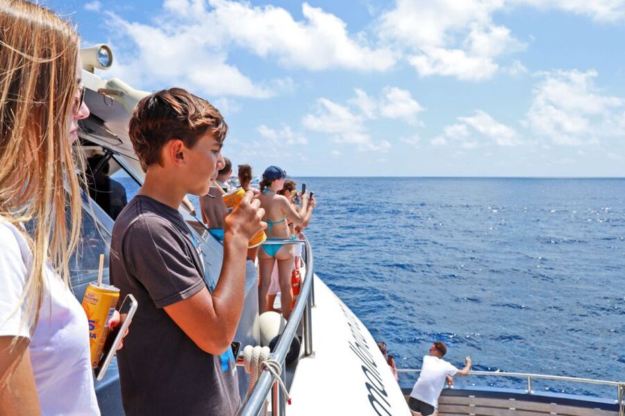 From Paguera: Dolphin Watching Cruise in a Glass-Bottom Boat - Should you book the dolphin cruise?