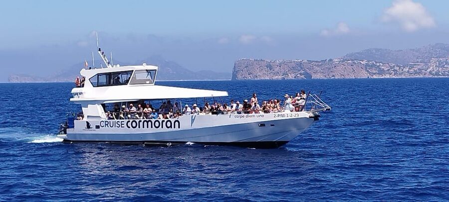 From Palma: 3-Hour Morning Dolphin Watching Boat Tour - Cancellation, languages, and timing