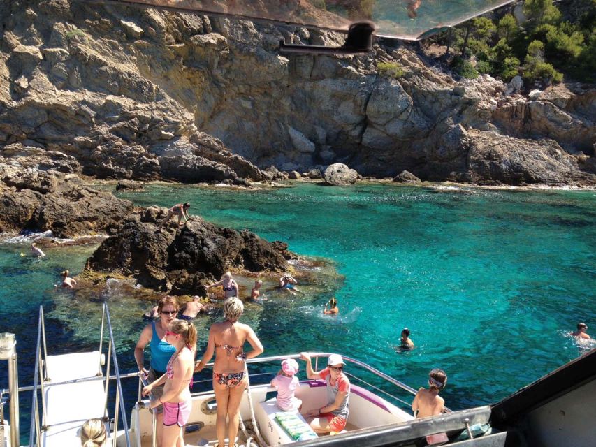 From Palma: 3-Hour Morning Dolphin Watching Boat Tour - Leaving Palma aboard the Carpe Diem