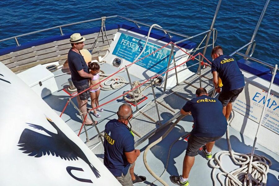 From Palma: 3-Hour Morning Dolphin Watching Boat Tour - Choosing the Palma departure or a resort transfer