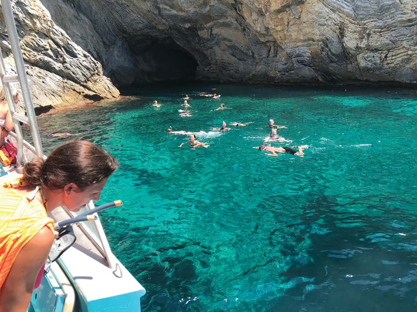 From Palma: Afternoon Dolphin-Watching Boat Tour - Key points to know before you book
