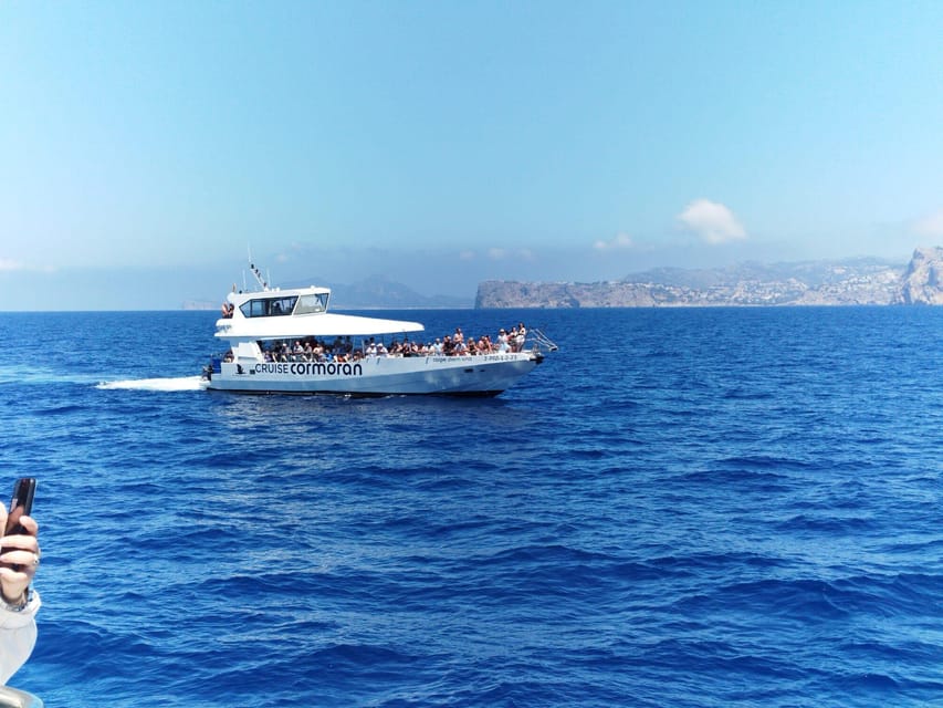 From Palma: Afternoon Dolphin-Watching Boat Tour - Who will enjoy this trip most