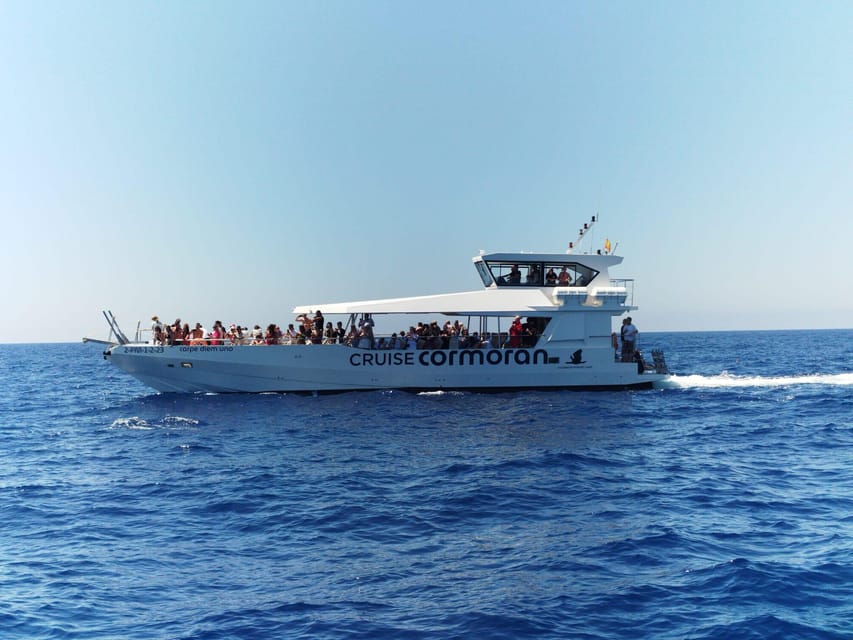 From Palma: Afternoon Dolphin-Watching Boat Tour - The speedboat ride through Palma Bay