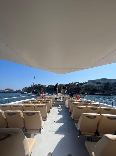 From Palma: Afternoon Dolphin-Watching Boat Tour - Searching for dolphins in open water