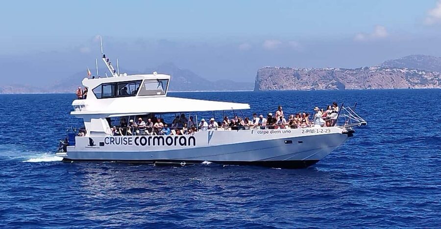 From Palma: Afternoon Dolphin-Watching Boat Tour - Leaving Palma at 13:45 or 14:00