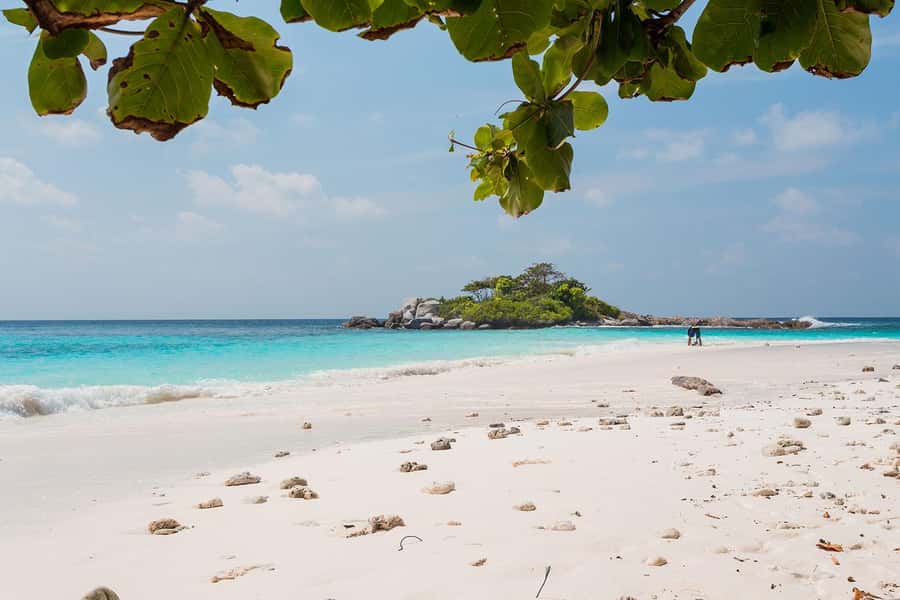 From Phuket: Racha & Maiton Island Dolphin Expedition - What the $109 price really covers