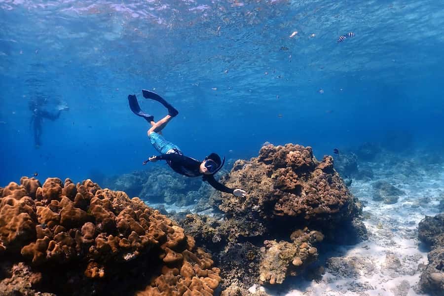 From Phuket: Racha & Maiton Island Dolphin Expedition - One hour across the water to Racha Noi