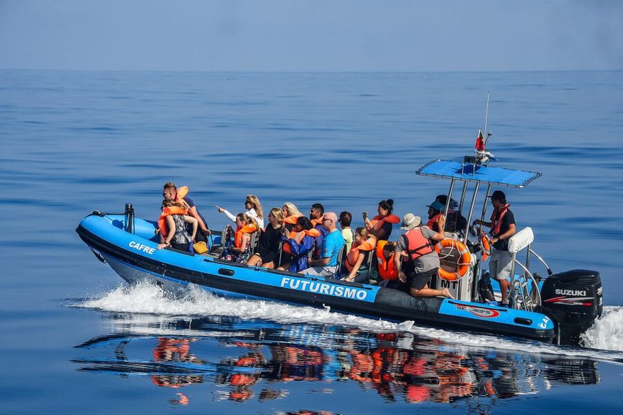 From Ponta Delgada: Whale and Dolphin Watching Trip - Leaving Ponta Delgada Harbour for the Atlantic