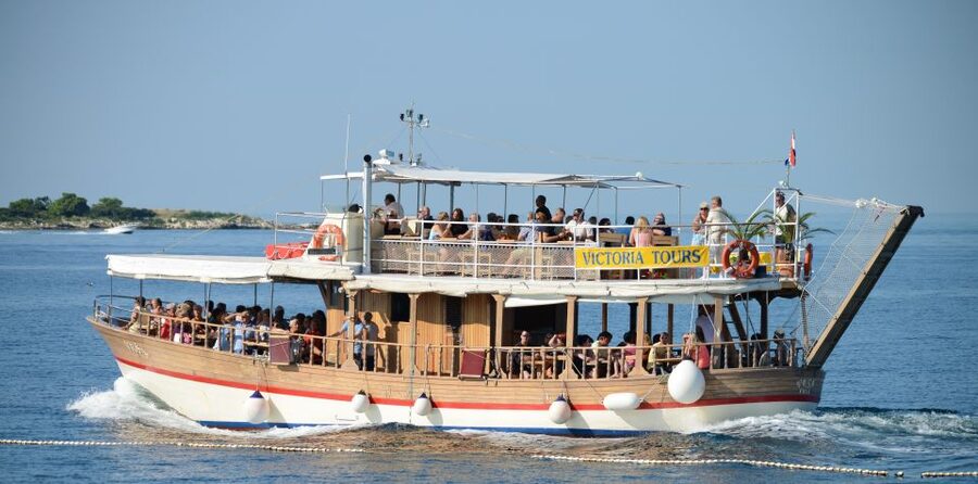 From Poreč: Evening Dolphin Cruise with Welcome Drink - The boat atmosphere and crew