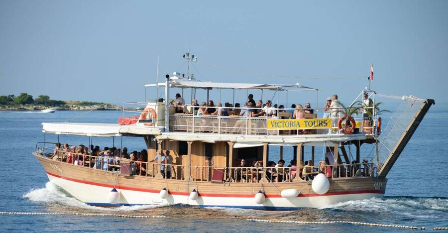 From Poreč: Evening Dolphin Cruise with Welcome Drink - The problem of several boats at one sighting